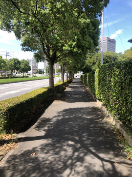 日本千叶县印西市街景