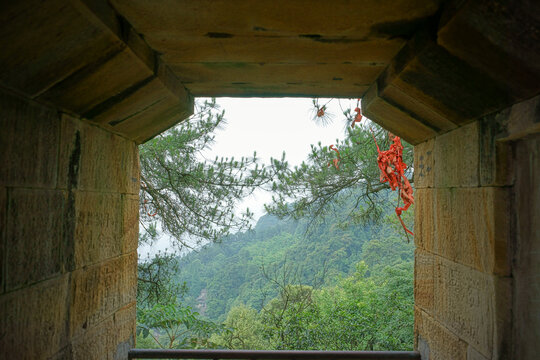 山林松针