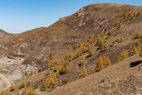 小天山秋景