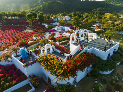 南宁青秀山叶子公园