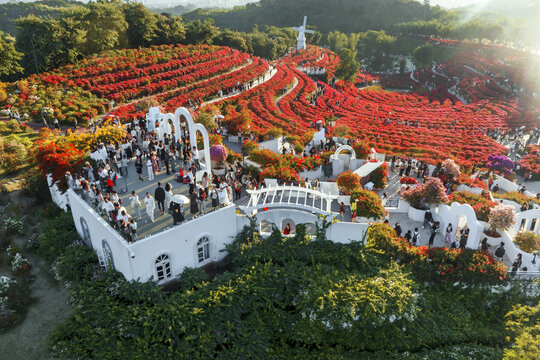 南宁青秀山叶子公园