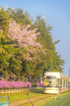 广州观光有轨列车