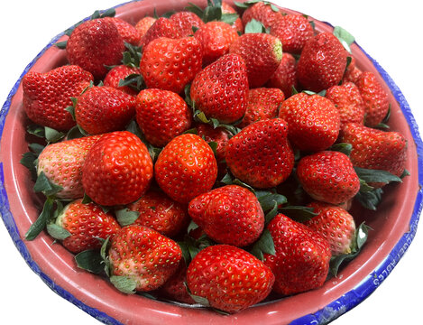 新鲜的红草莓