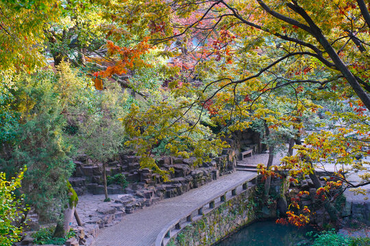 苏州虎丘山风景区秋日盛景