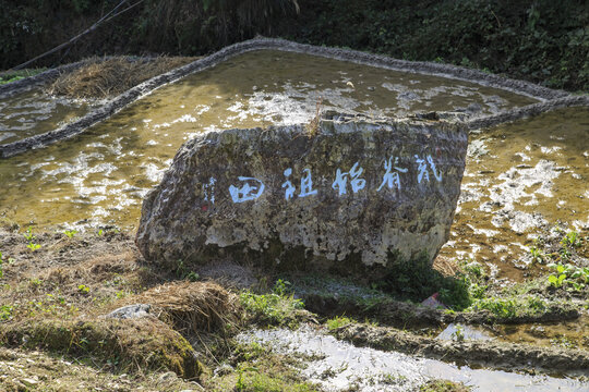 桂林龙脊梯田