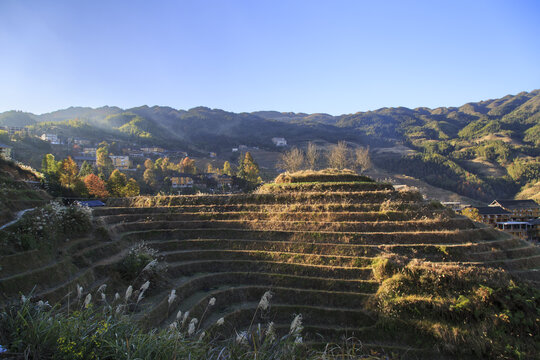 龙脊梯田