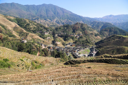 龙脊梯田金坑大寨