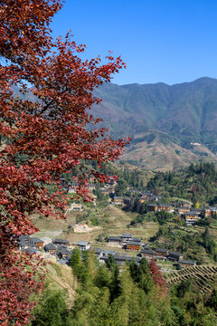 龙脊梯田金坑红瑶梯田