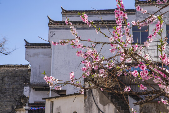 桃花马头墙