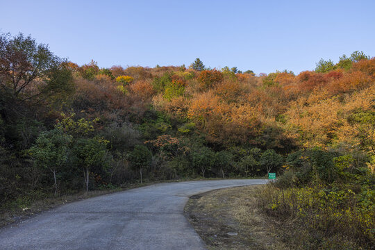 秋天小路