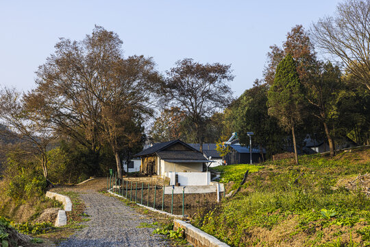 乡村风光