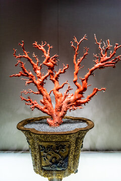清代珐琅海棠式盆红珊瑚盆景