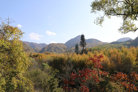 麦积山风景