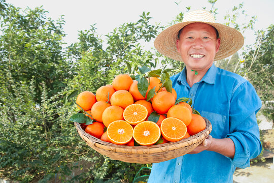 手里拿着爱媛果冻橙