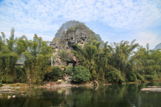 阳朔大榕树景区