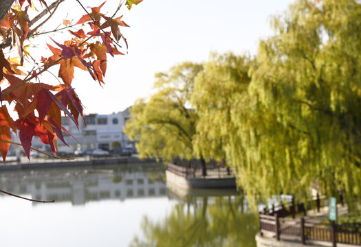 山东枣庄山亭区太清湖公园冬景