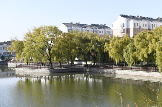 山东枣庄山亭区太清湖公园冬景