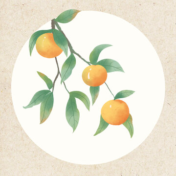 古风水彩植物花卉橘子