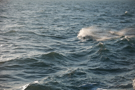 风浪海浪浪花大浪风吹海风