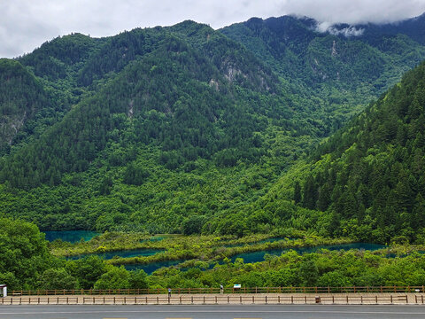 路边山水