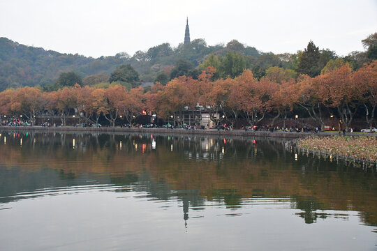 西湖断桥的风景