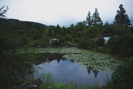 杭州植物园