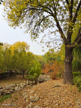 金秋季节风景如画