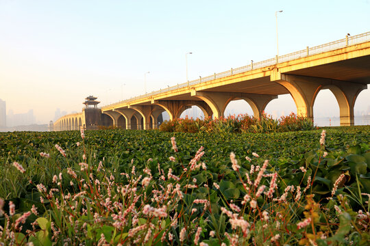 武汉墨水湖大桥