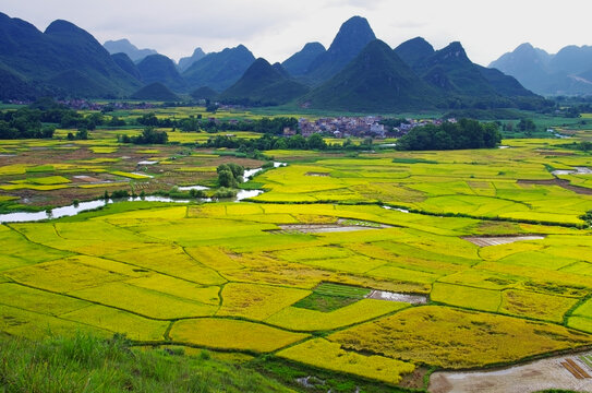 山景田园风景