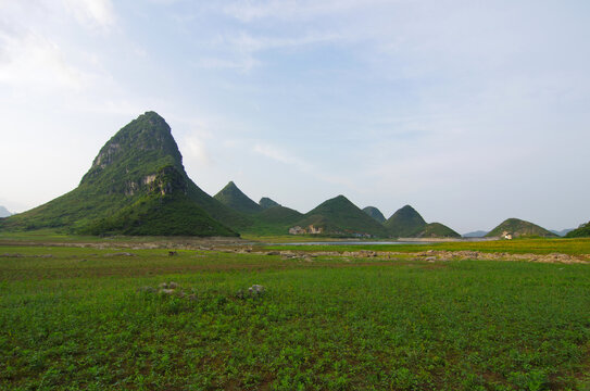 乡村风景自然风景绿色田园