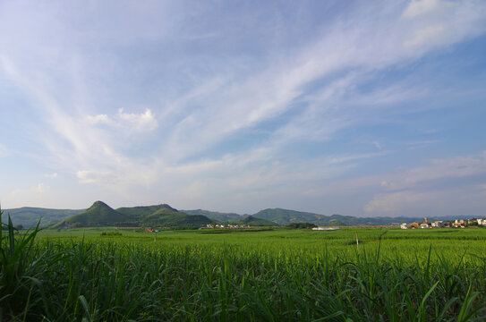 乡村风景自然风景绿色乡村