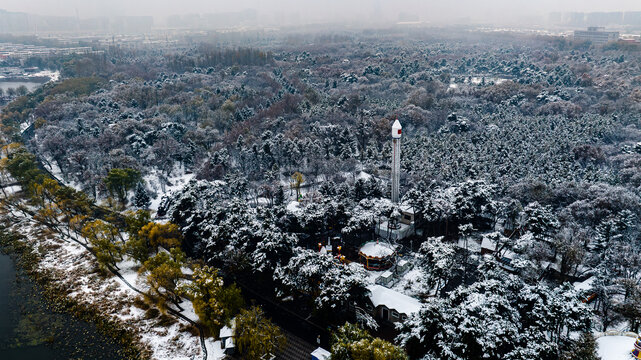 雪后的中国长春南湖公园森林雪景