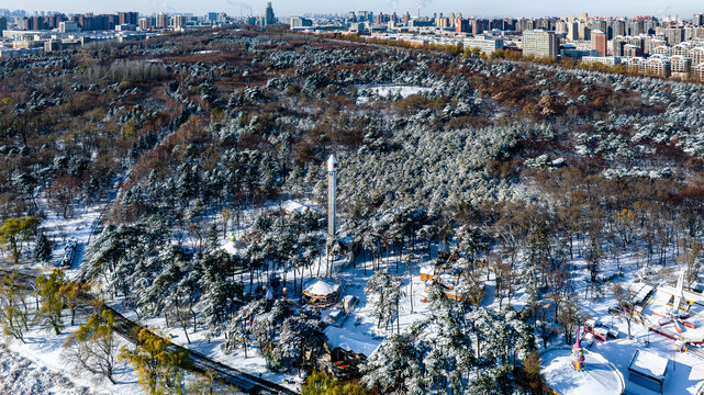 雪后的中国长春南湖公园森林雪景