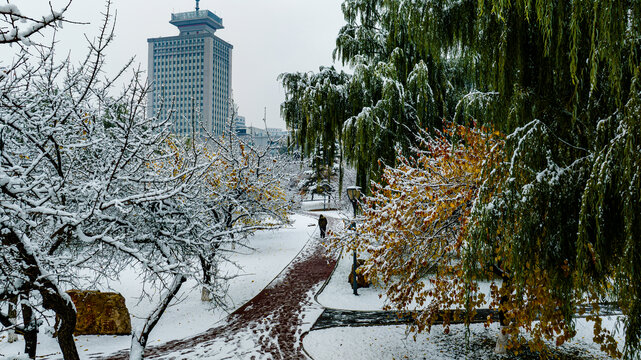 雪后的中国长春城区建筑景观