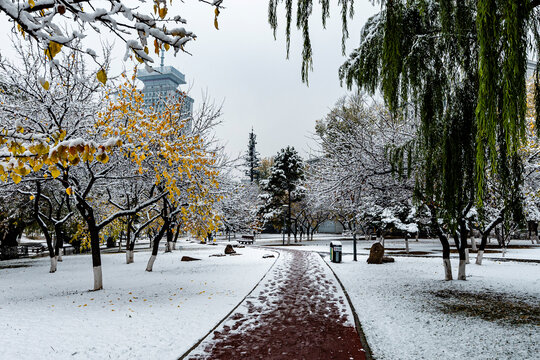 雪后的中国长春城区建筑景观