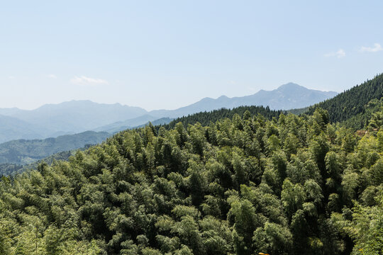 竹山竹海