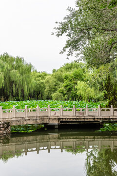 中国北京清华大学近春园莲桥