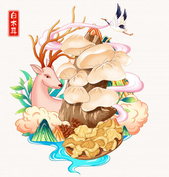 白木耳插画手绘