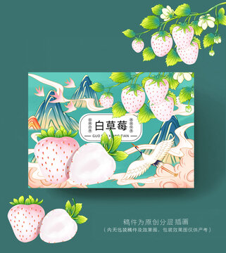 白草莓插画包装