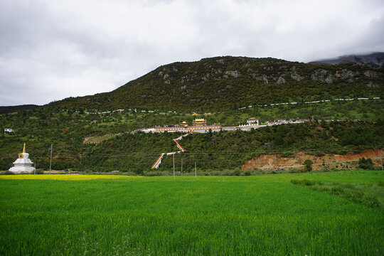 川西高原风景