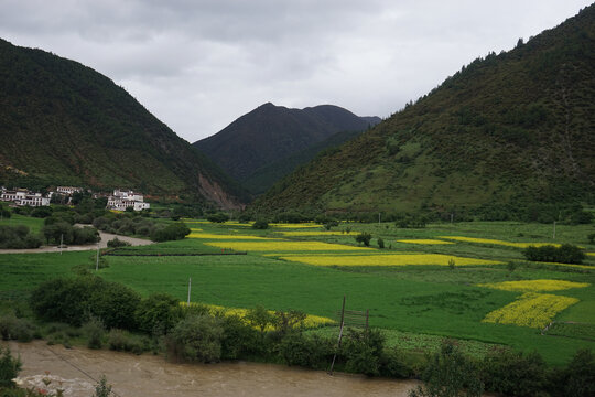 川西高原风景