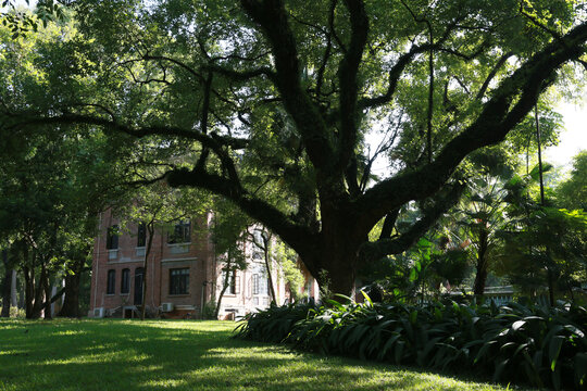 中山大学校园