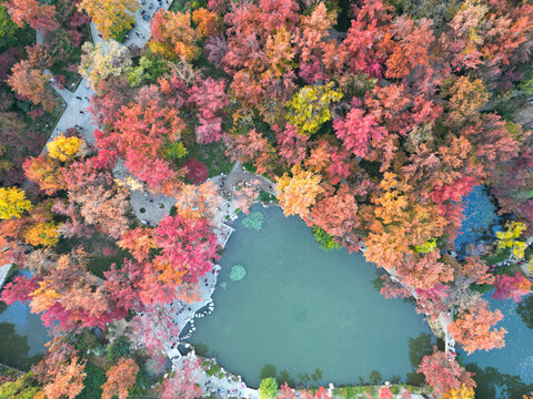 苏州天平山秋季风景航拍