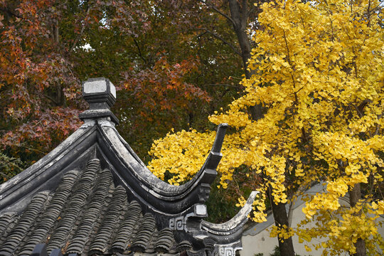 苏州天平山秋季风景