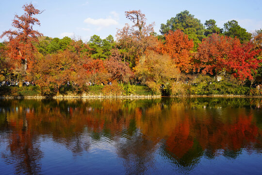 苏州天平山秋季风景