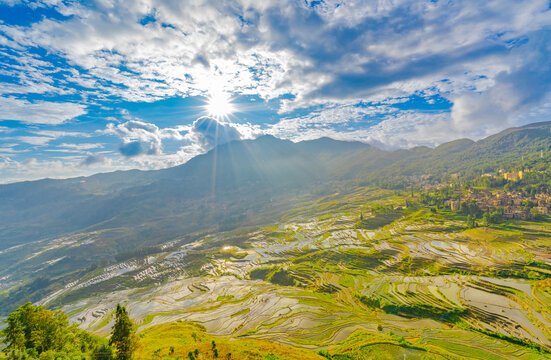 云南元阳县多依树梯田风景