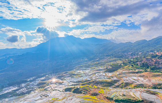 云南元阳县多依树梯田风景