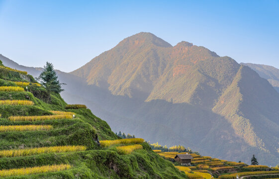 浙江省丽水市云和梯田的风景