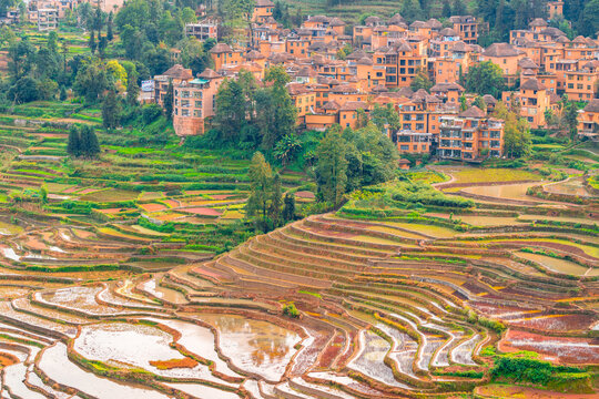 云南元阳县多依树梯田风景