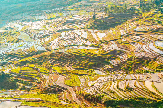 云南元阳县多依树梯田风景